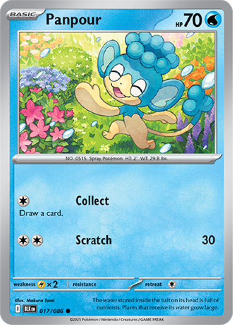 Pokemon Holo Rare Cards - Choose Your Card - Black Bolt SV English NM