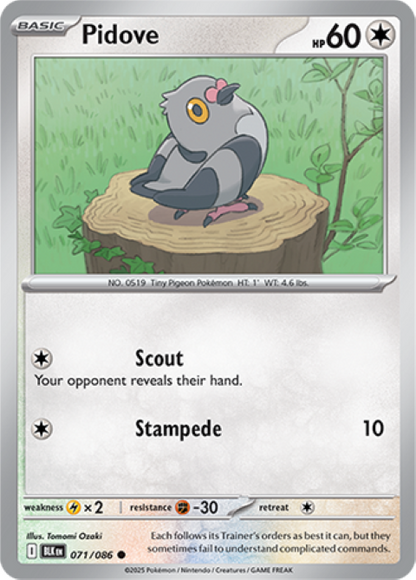 Pokemon Black Bolt Holo Rare & EX Cards - Choose Your Card - SV Englis