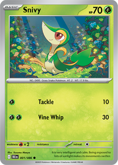 Pokemon Holo Rare Cards - Choose Your Card - Black Bolt SV English NM