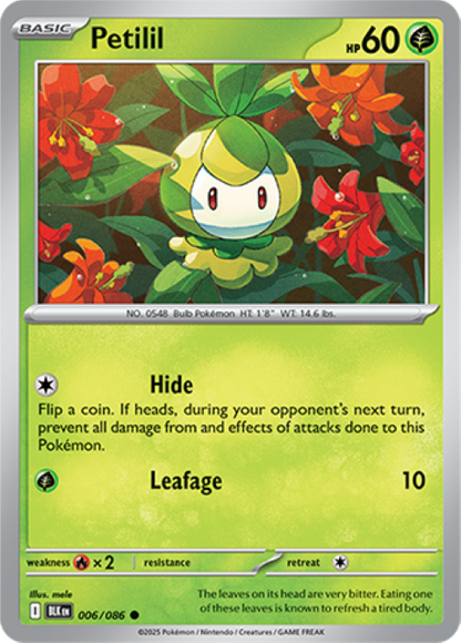 Pokemon Holo Rare Cards - Choose Your Card - Black Bolt SV English NM