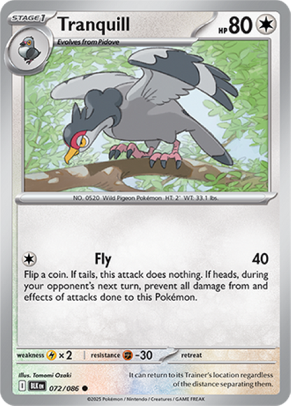 Pokemon Holo Rare Cards - Choose Your Card - Black Bolt SV English NM